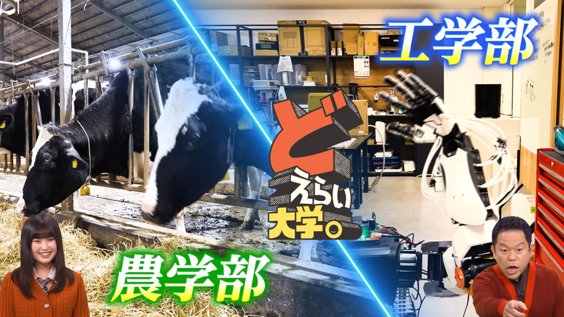 どえらい大学に出演 thumbnail